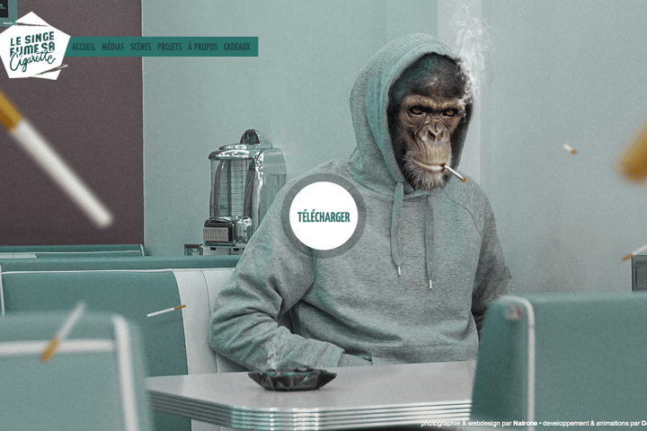 LE SINGE FUME SA CIGARETTE website preview